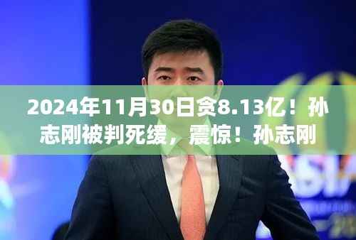 震惊!孙志刚贪腐案揭秘,贪腐金额达八亿背后的法律审判