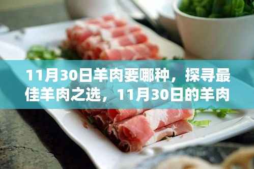 11月30日羊肉选择指南,探寻最佳羊肉之选