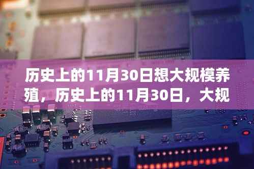 人前显贵 第5页