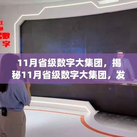 揭秘,省级数字大集团的发展脉络、战略焦点与未来展望(11月展望)