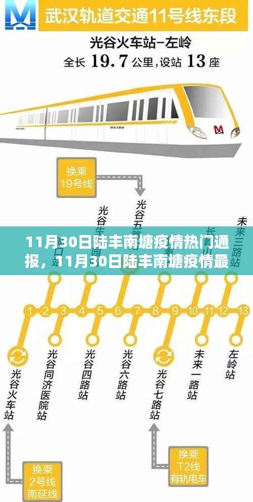 11月30日陆丰南塘疫情热门通报,11月30日陆丰南塘疫情最新通报及防控动态