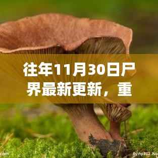 往年11月30日尸界重磅更新揭秘,最新动态与特色内容展示
