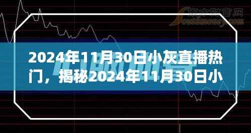 揭秘,2024年11月30日小灰直播三大看点火爆上线!