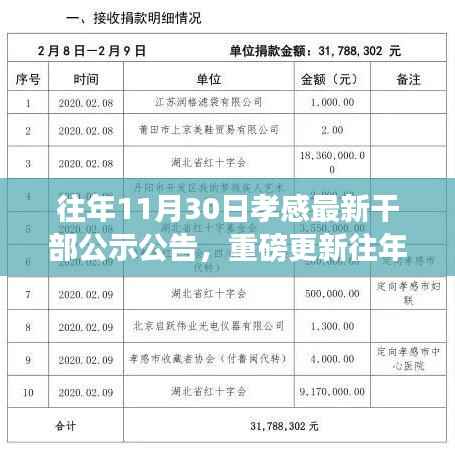 往年11月30日孝感干部公示公告更新,最新干部公示一览