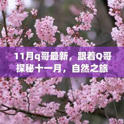 11月q哥最新,跟着Q哥探秘十一月,自然之旅的心灵觉醒与轻松脚步