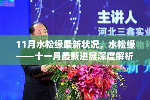 水松缘最新进展深度解析,11月最新状况报告