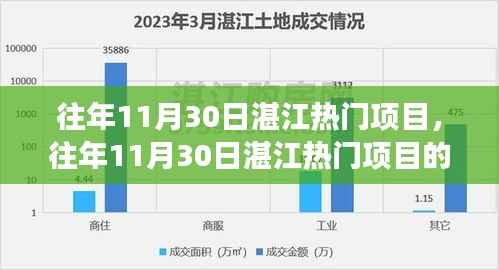 湛江热门项目深度解析,一种独特的观察与思考视角