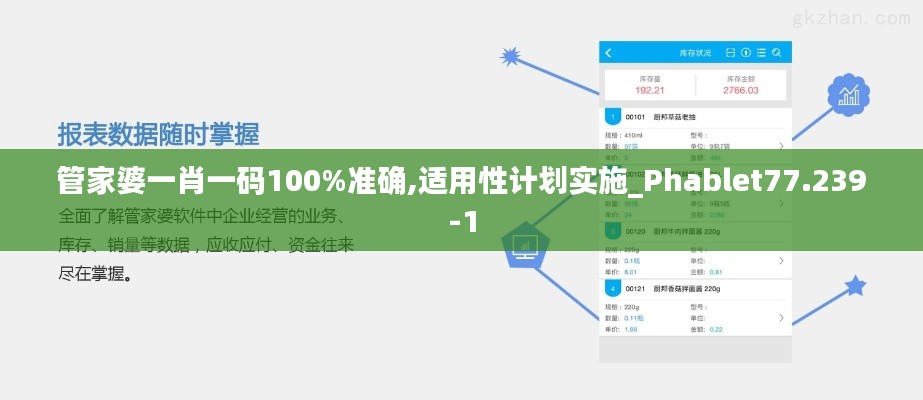 管家婆一肖一码100%准确,适用性计划实施_Phablet77.239-1