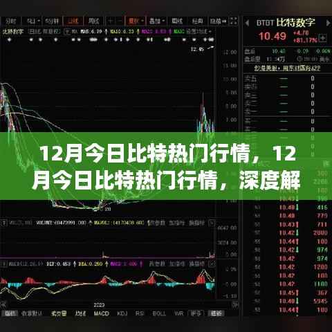 深度解析,掌握最新动态,揭秘比特币市场走势的热门行情