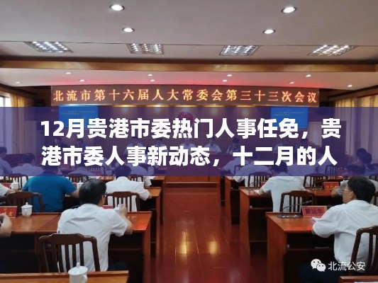 贵港市委人事任免新动态,十二月人事调整与友情的温暖故事