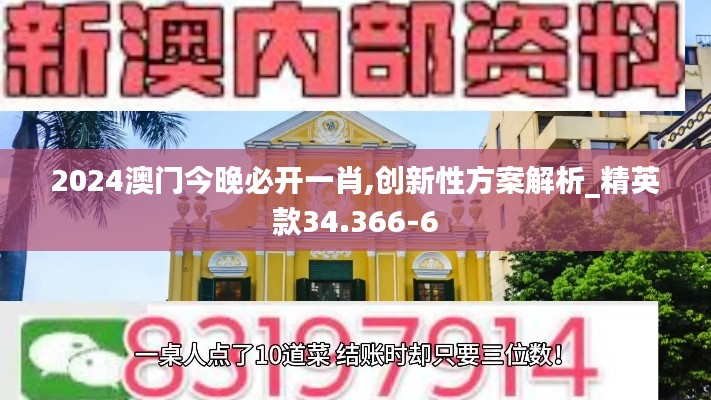 2024澳门今晚必开一肖,创新性方案解析_精英款34.366-6