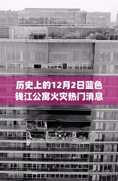 蓝色钱江公寓火灾背后的爱与陪伴的力量,温馨故事回顾与最新消息关注