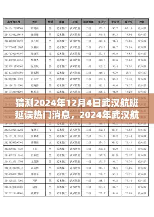揭秘武汉航班延误风云背后的故事与影响,预测武汉航班延误热门消息,聚焦武汉航班风云变幻的2024年12月4日