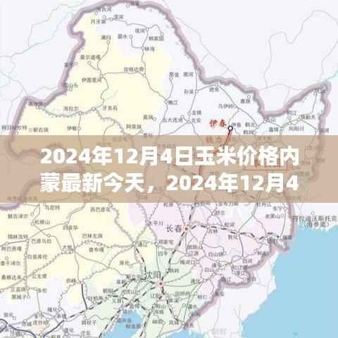 2024年12月4日内蒙玉米价格最新动态及分析,今日行情与市场展望