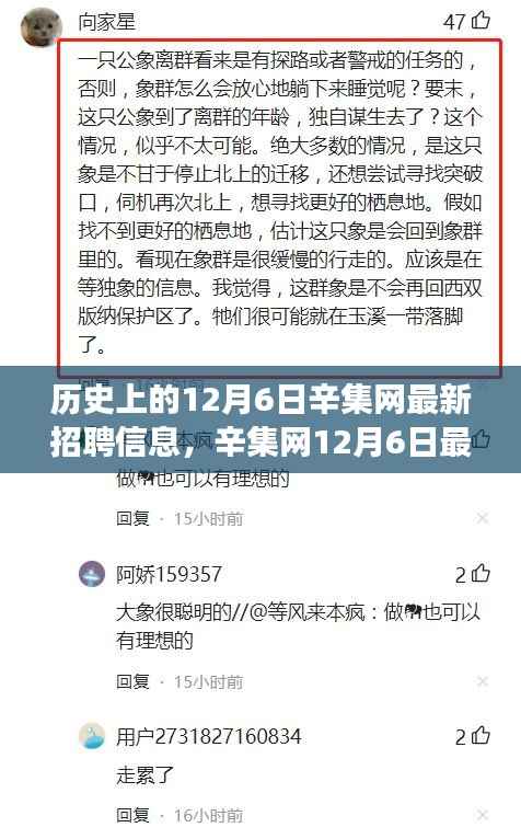 辛集网12月6日招聘信息背后的暖心故事揭晓