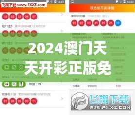 2024澳门天天开彩正版免费资料340期,稳定执行计划_微型版4.802