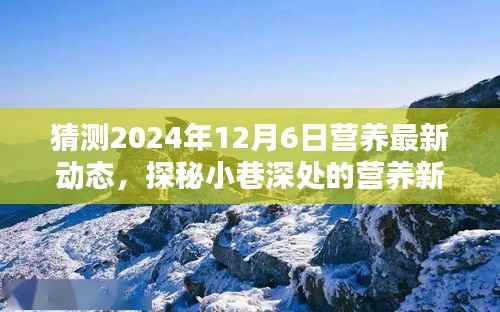 探秘小巷深处的营养新风尚,预测2024年12月6日营养动态展望