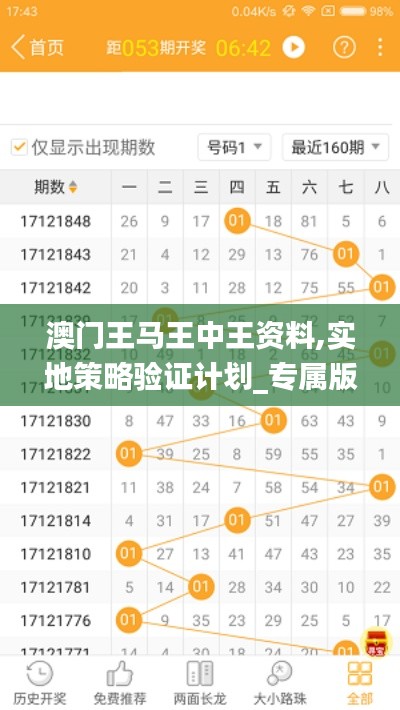 澳门王马王中王资料,实地策略验证计划_专属版5.626