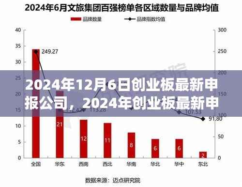 2024年创业板最新申报公司步骤指南,初学者与进阶用户必备