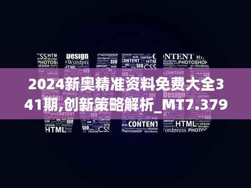 2024新奥精准资料免费大全341期,创新策略解析_MT7.379