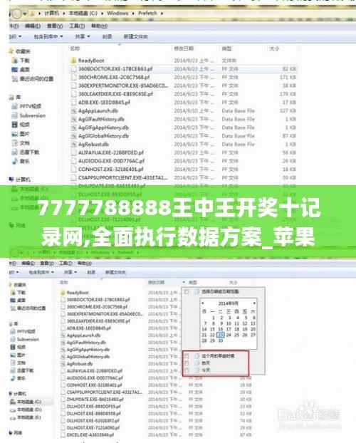 7777788888王中王开奖十记录网,全面执行数据方案_苹果10.492