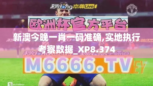 新澳今晚一肖一码准确,实地执行考察数据_XP8.374