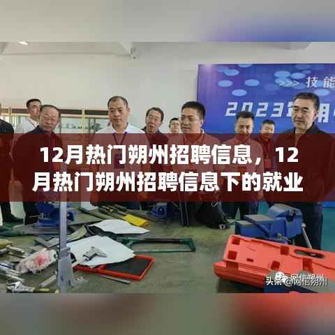 12月朔州热门招聘信息解析,就业市场观察与个人观点