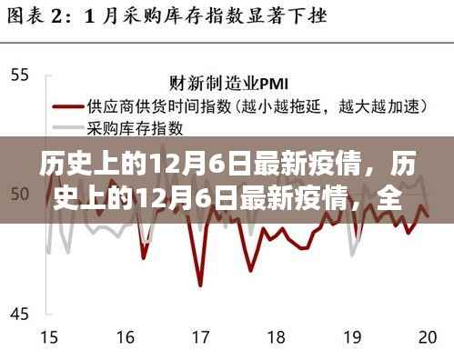 历史上的12月6日疫情全面评测与介绍,最新疫情动态概览