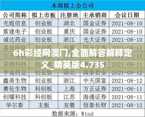 6h彩经网澳门,全面解答解释定义_精英版4.735