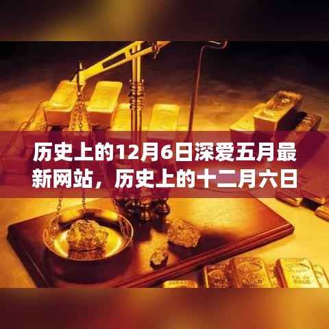 回顾历史上的十二月六日,五月网站的发展与影响深度解析
