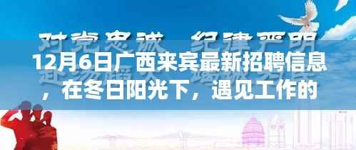 广西来宾求职奇遇记,冬日阳光下的工作温暖与友情甜香