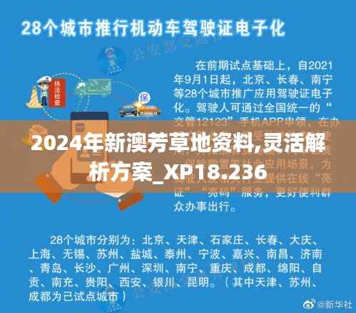 2024年新澳芳草地资料,灵活解析方案_XP18.236
