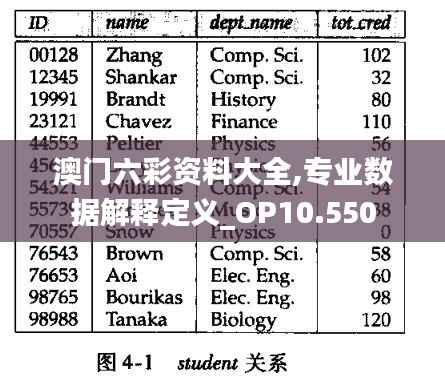 澳门六彩资料大全,专业数据解释定义_OP10.550
