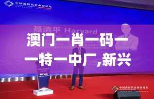 澳门一肖一码一一特一中厂,新兴技术推进策略_4DM4.890