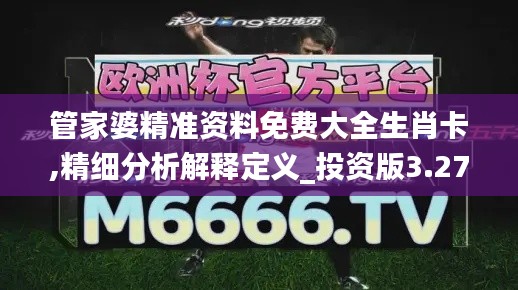 管家婆精准资料免费大全生肖卡,精细分析解释定义_投资版3.276