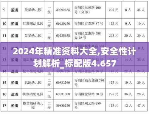 2024年精准资料大全,安全性计划解析_标配版4.657