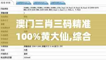 澳门三肖三码精准100%黄大仙,综合评估解析说明_Plus10.763