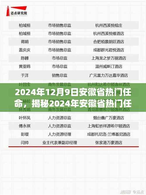 揭秘2024年安徽省热门任命,产品特性、用户体验与目标用户全面解读