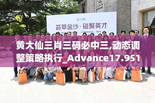 黄大仙三肖三码必中三,动态调整策略执行_Advance17.951