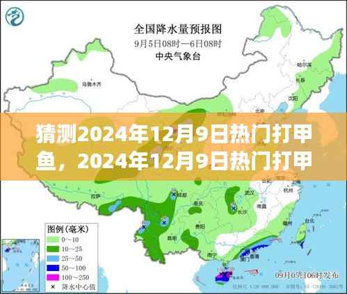深度解析,2024年打甲鱼现象背后的背景、事件与影响
