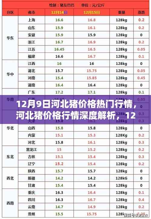 河北猪价格行情深度解析,热门动态与时代影响探讨(12月9日)