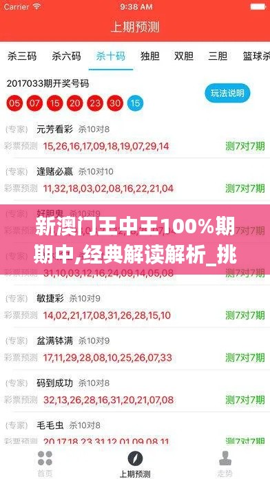 新澳门王中王100%期期中,经典解读解析_挑战款7.826