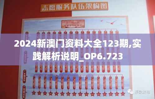 2024新澳门资料大全123期,实践解析说明_OP6.723