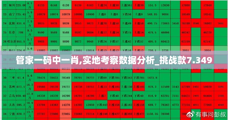 管家一码中一肖,实地考察数据分析_挑战款7.349