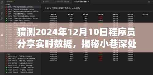 揭秘小巷深处的神秘角落,2024年实时数据程序员分享盛宴