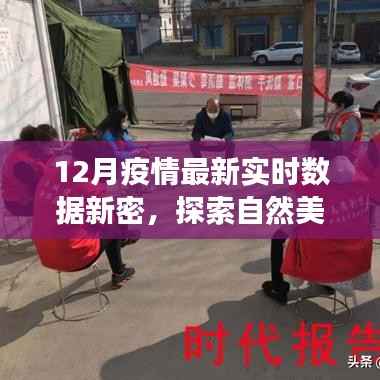 新密12月疫情后的宁静秘境探索,疫情数据与心灵之旅的奇妙交织