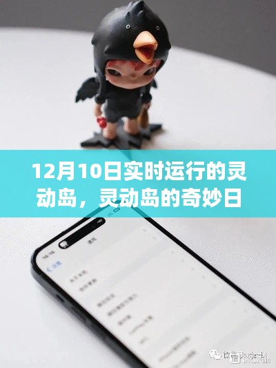 温馨冬日冒险,灵动岛的实时运行与奇妙日常