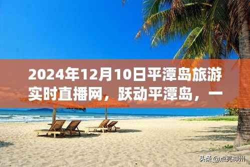 跃动平潭岛，励志之旅与实时直播启航，2024年12月10日直播盛况在线分享