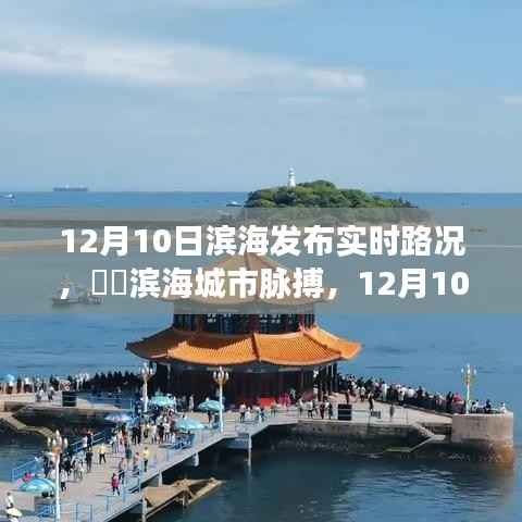 滨海城市脉搏,深度解析滨海城市实时路况报告(12月10日)