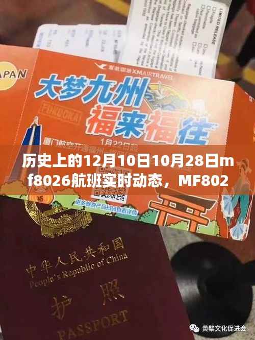 MF8026航班,飞行背后的温馨故事与友情家的温暖